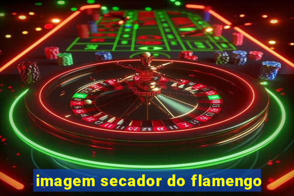 imagem secador do flamengo